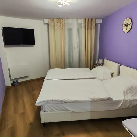 Fleurs De Provence - Proche Centre-ville